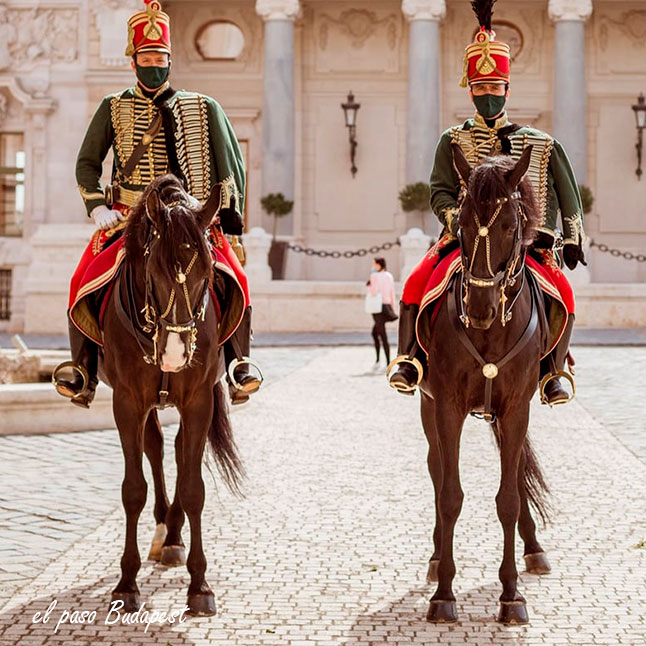 Dos Huzares en el palacio real de Budapest